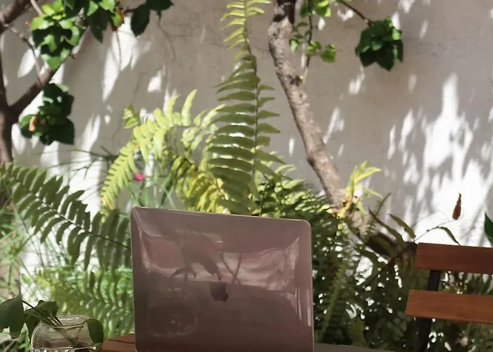 Kenka Sol Mexico